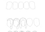 create your 2d toon boom harmony 360 rig for cartoon shows